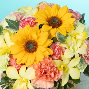 Thumbnail of post image 069