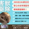 Thumbnail of new posts 186
