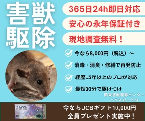 Thumbnail of post image 049