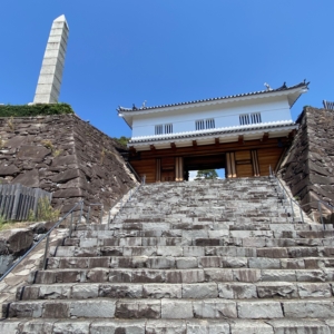 Thumbnail of post image 043