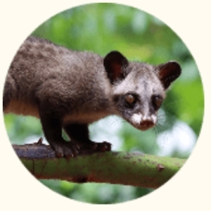 Thumbnail of post image 033