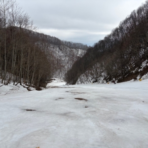 Thumbnail of post image 150